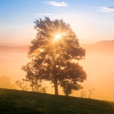 Elbe Sandstone Mountains - fairytale landscape