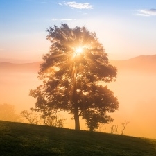 Elbe Sandstone Mountains - fairytale landscape