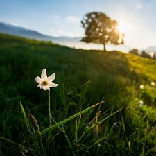 Bilance veskrze fotografická - sezóna 2019