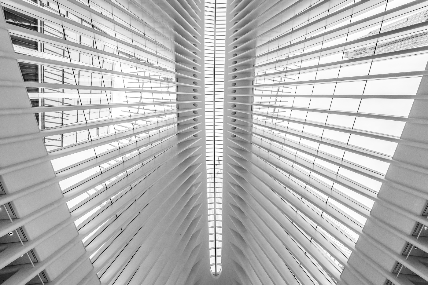 Architektonický kostlivec