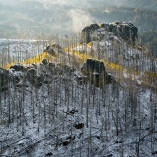 Požár bříz