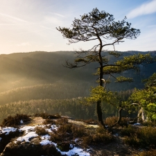 Pozdravení slunci