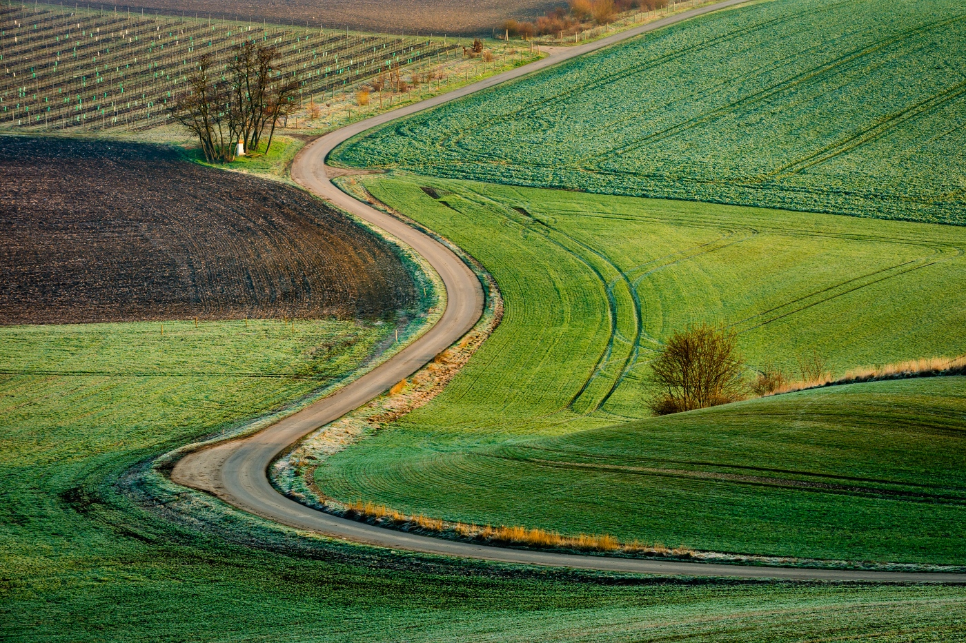 Between the fields