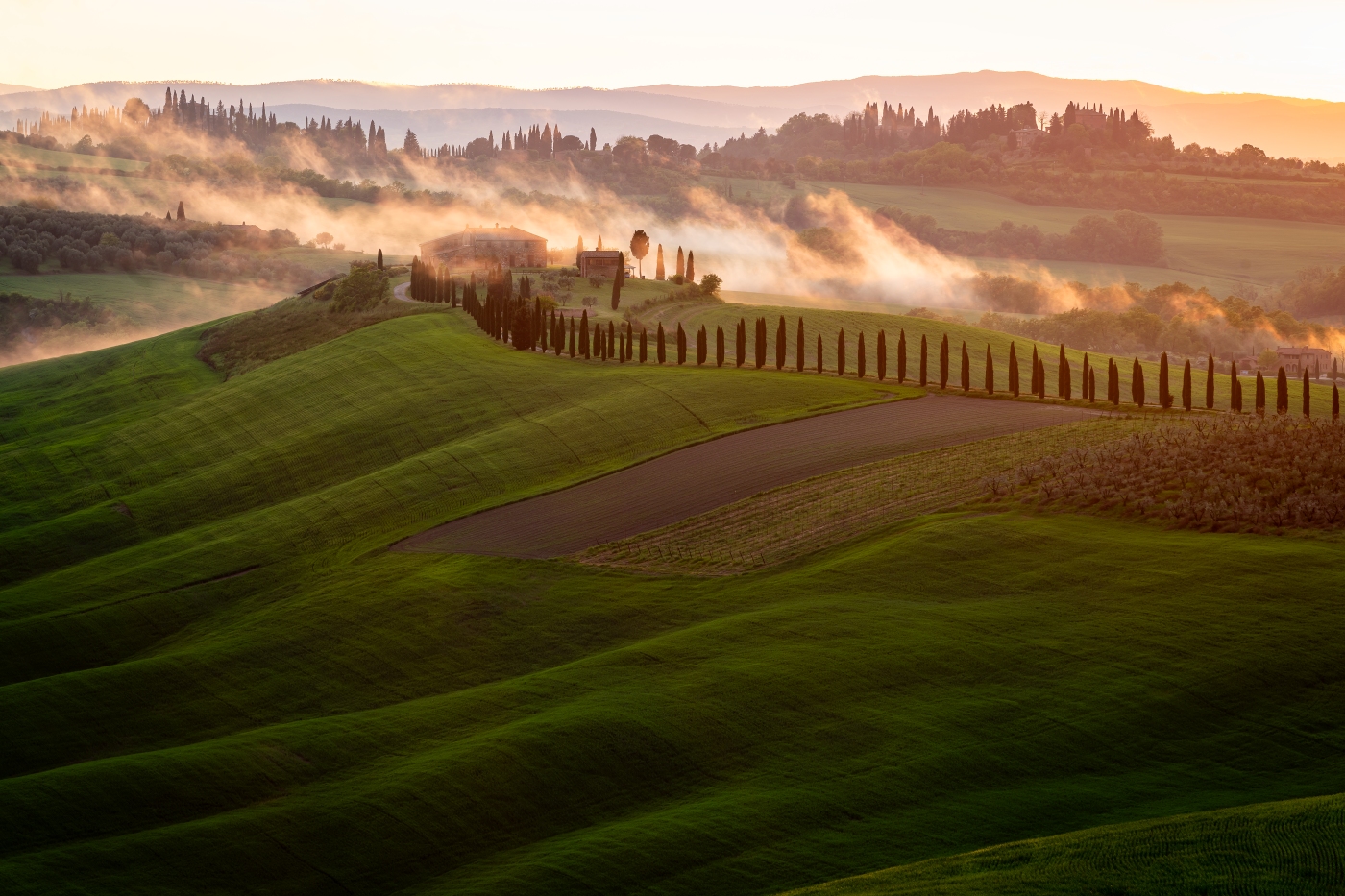 Fire in the fields