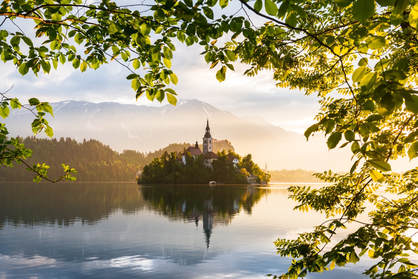 Good Morning Bled Lake