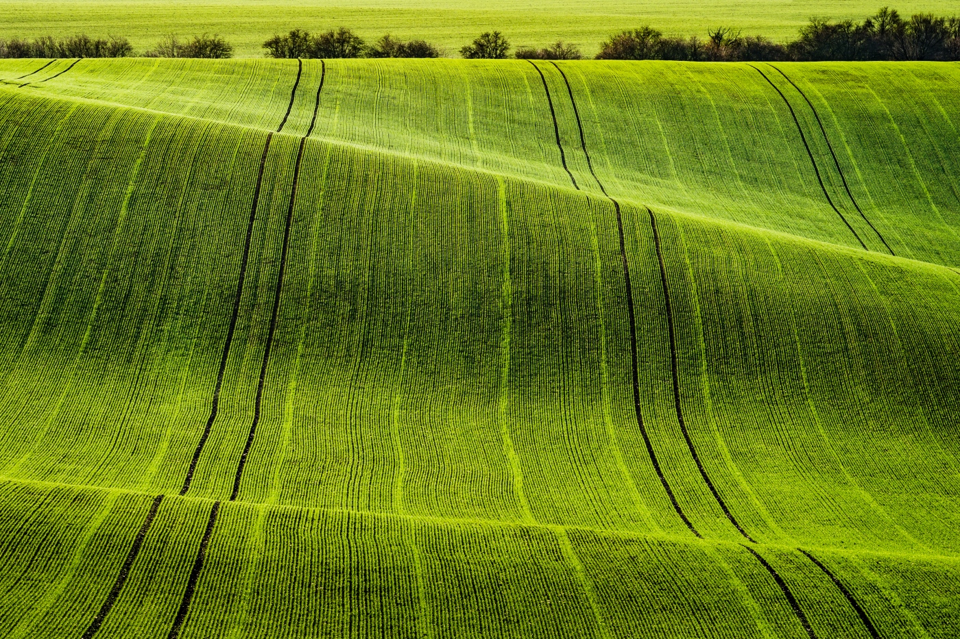 Green carpets