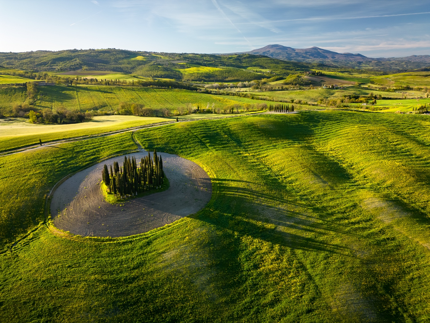 Green landscape