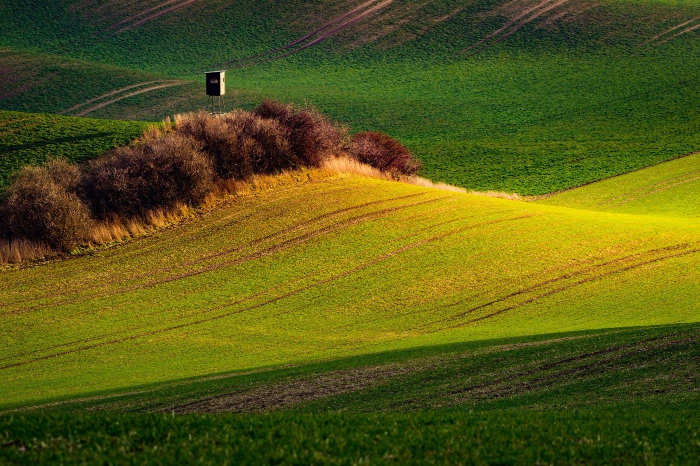 Guarding the fields