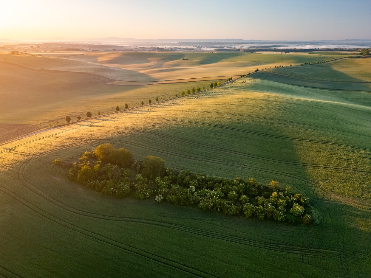 Moravian Tuscany