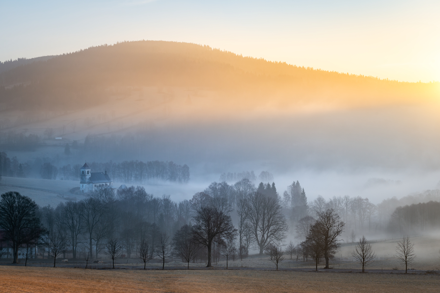 Morning Light Awashed