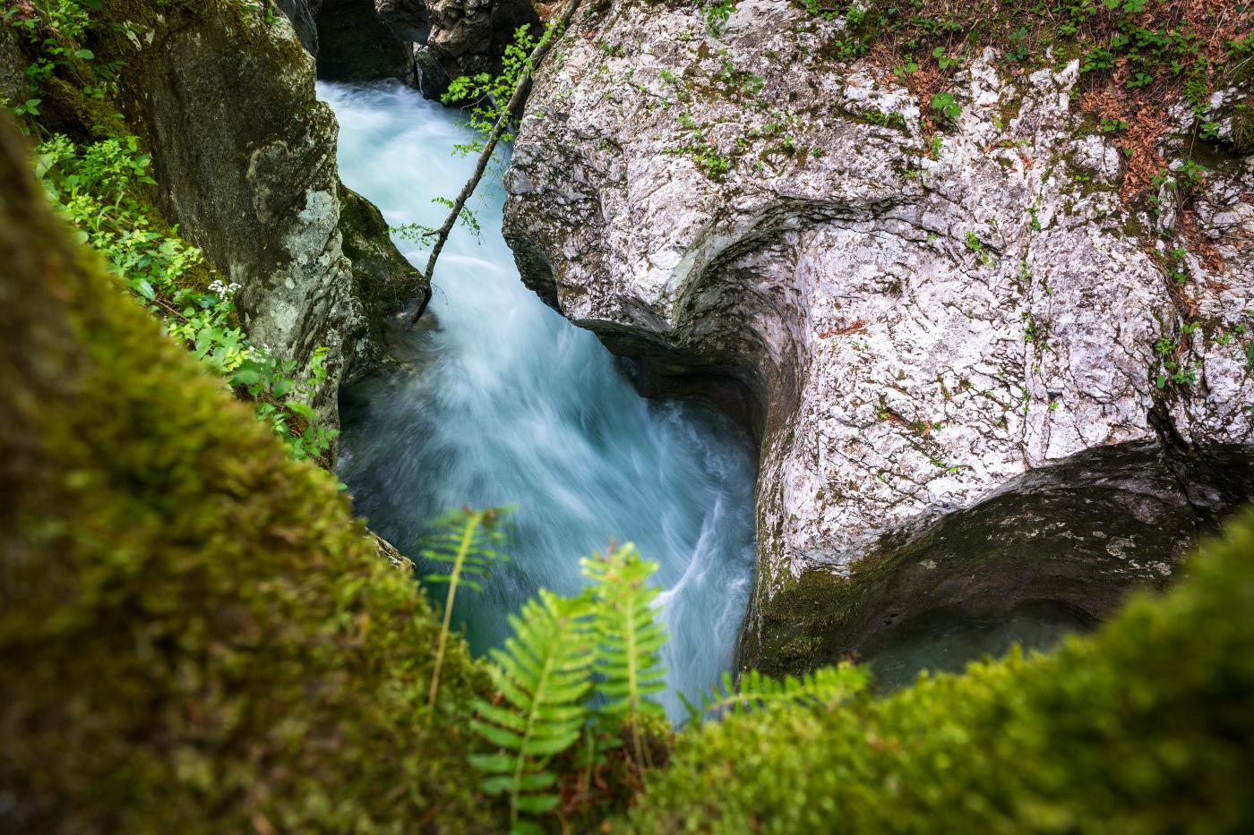 Mostnica Gorge