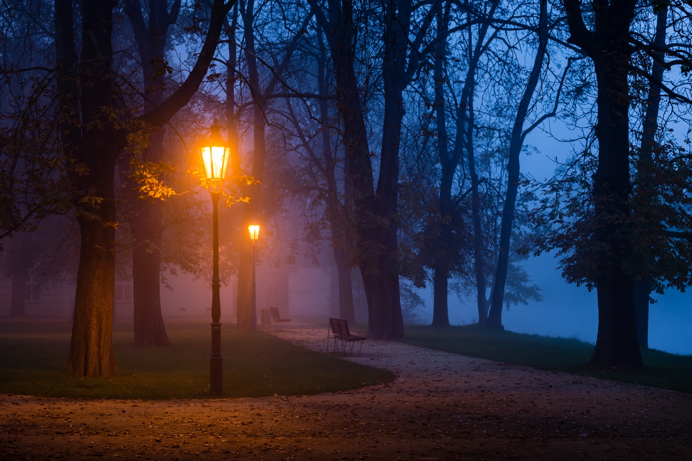 Prague pre-morning