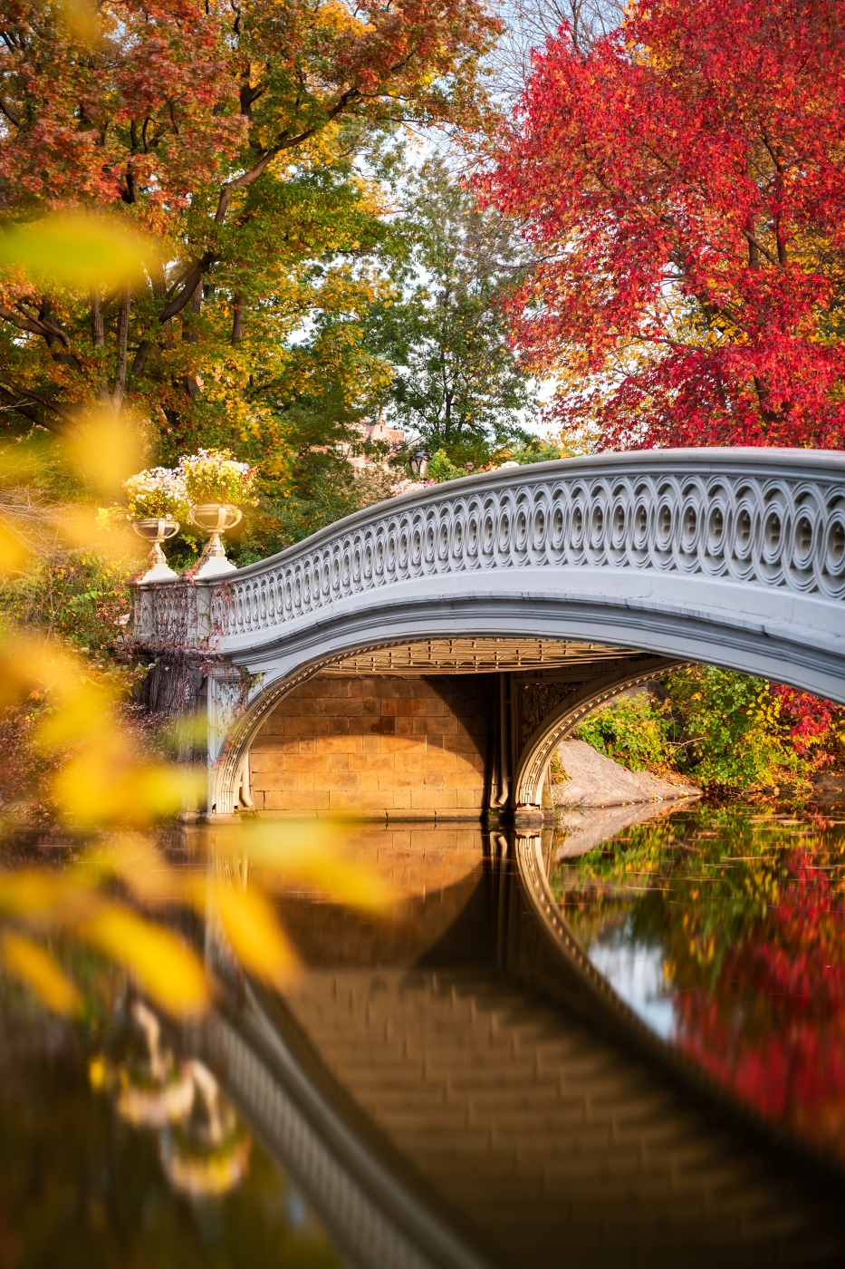 The bow to Autumn