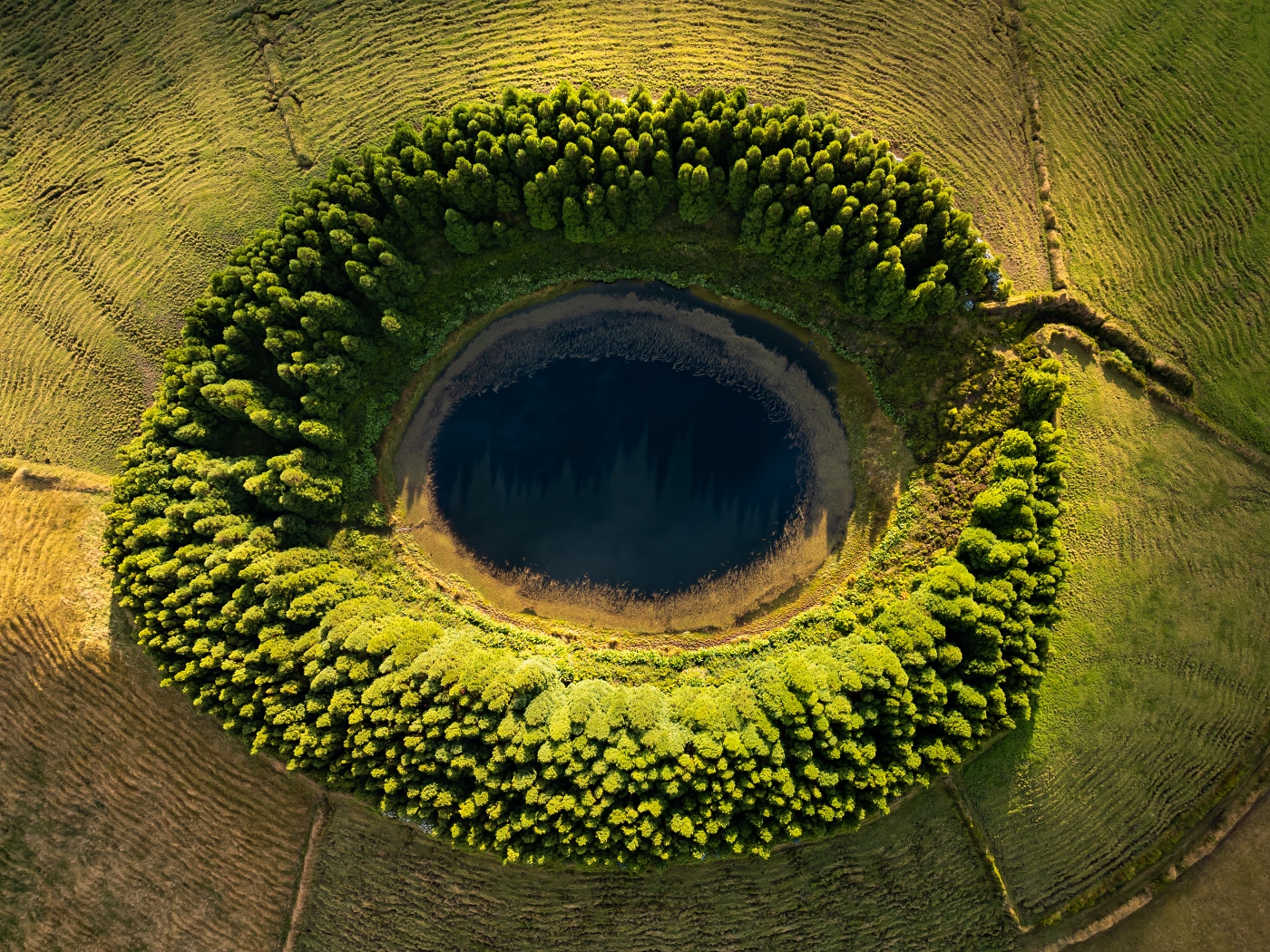 The green eye of Azores