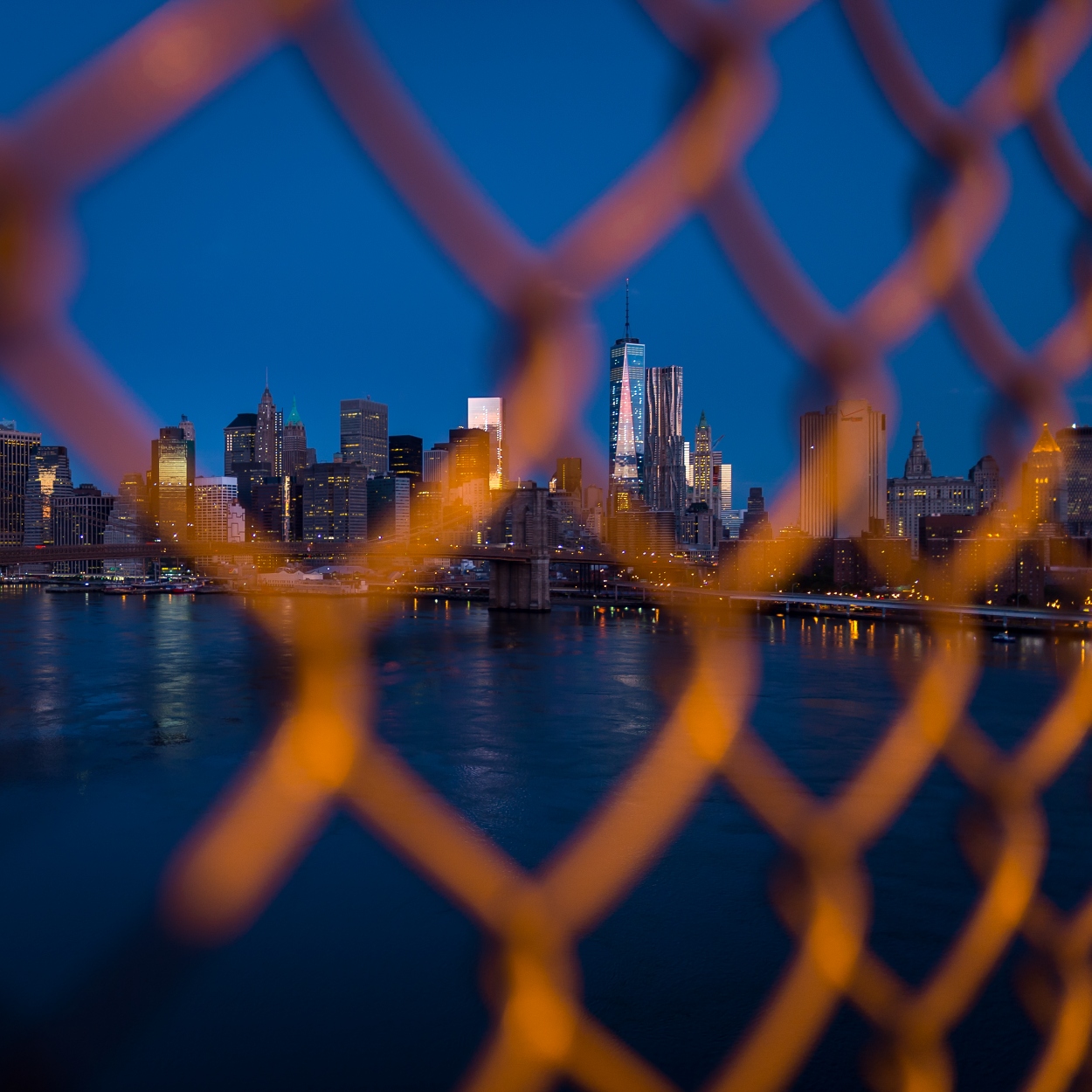 Through the fence