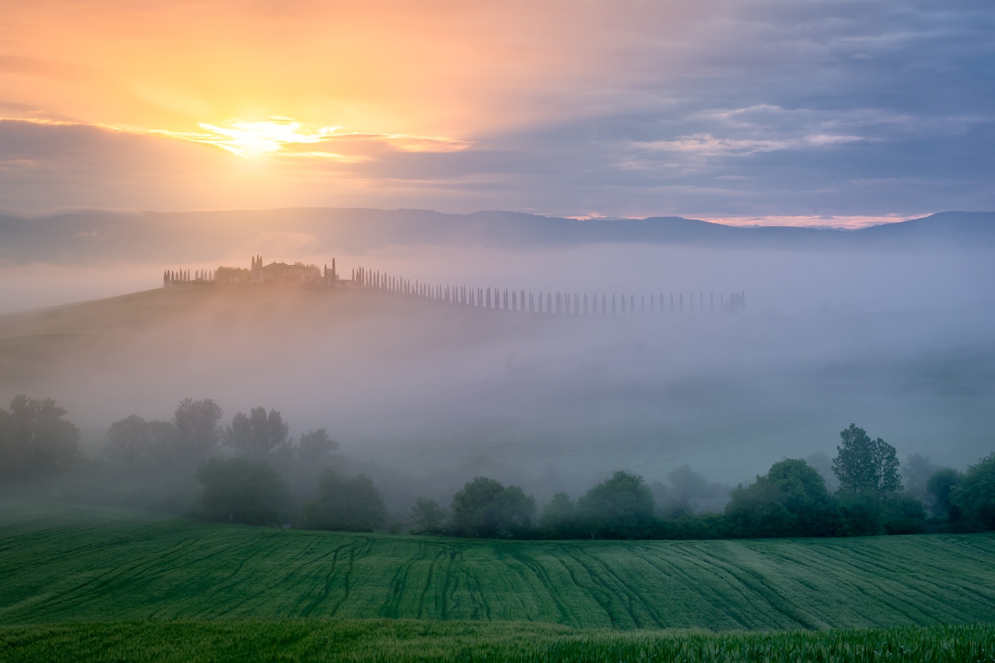 Tuscan day breakout