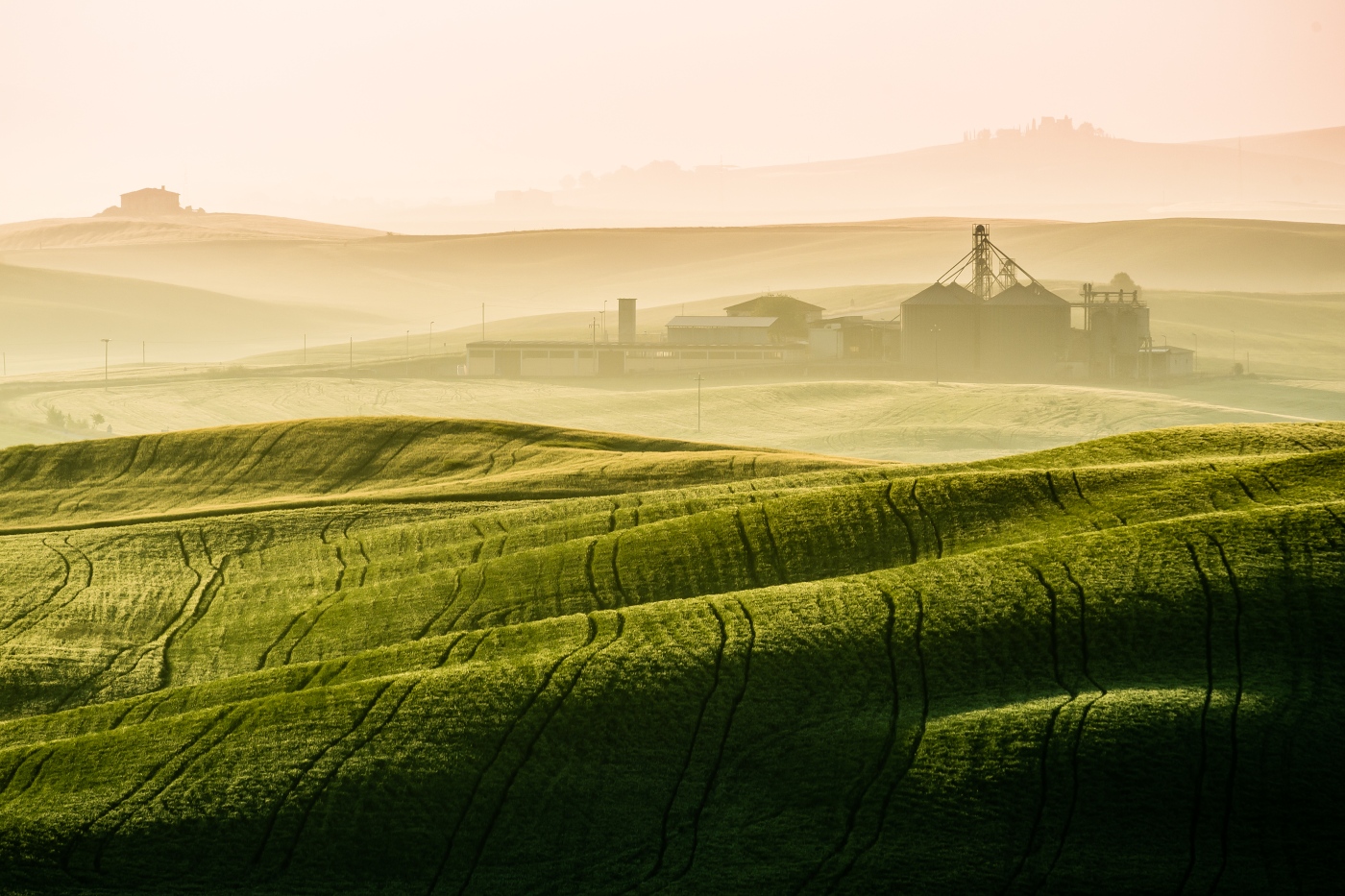 Tuscan Farmland