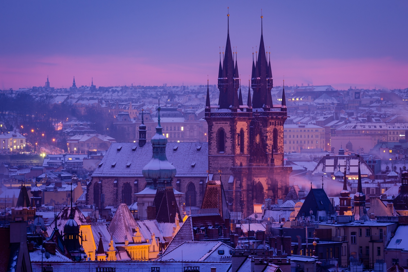 Winter pink morning