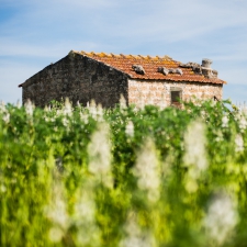 Hidden house