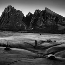 Moonlit meadows