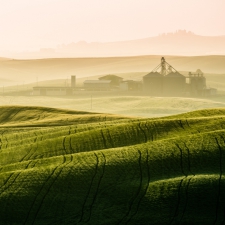 Tuscan Farmland