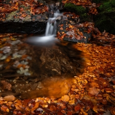 Unknown Pool