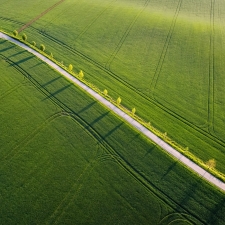 Way in the greenfields